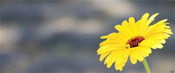 生活句子短句子