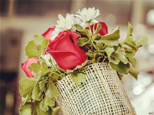 让对方看到暖心的句子