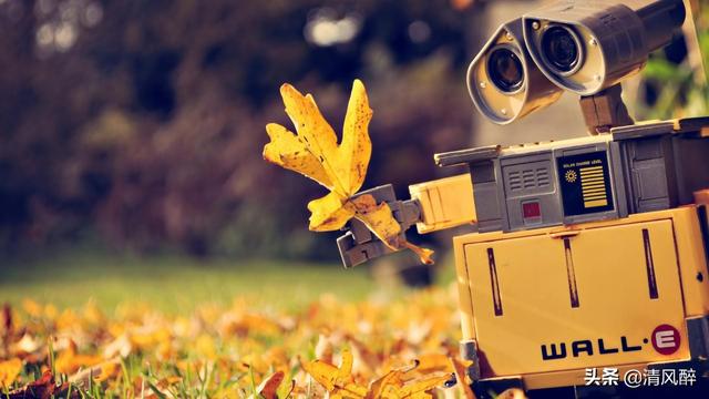 发表什么说说最吸引人