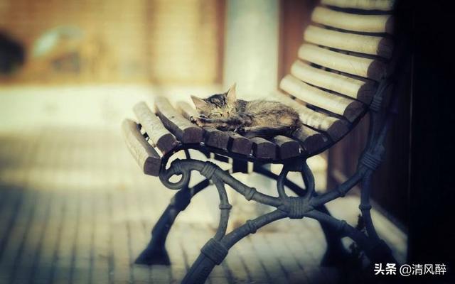 发表什么说说最吸引人