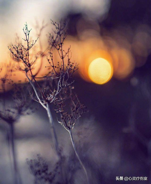 十二星座专属霸气句子