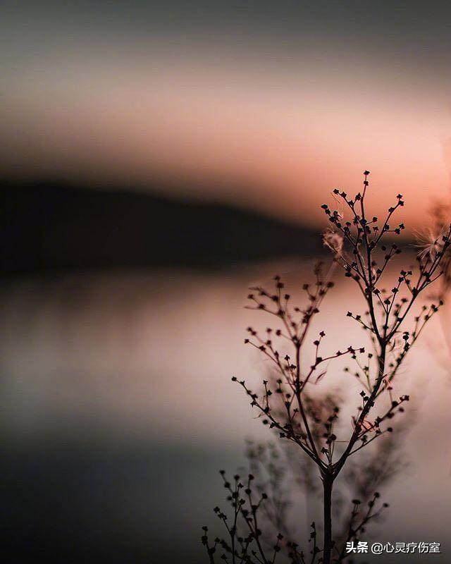 十二星座专属霸气句子