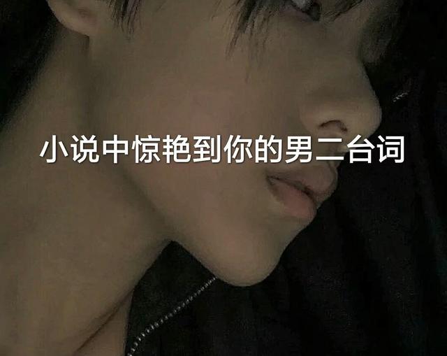 小说中惊艳到你的男二台词！无妨爱我淡泊，但求爱我长久！