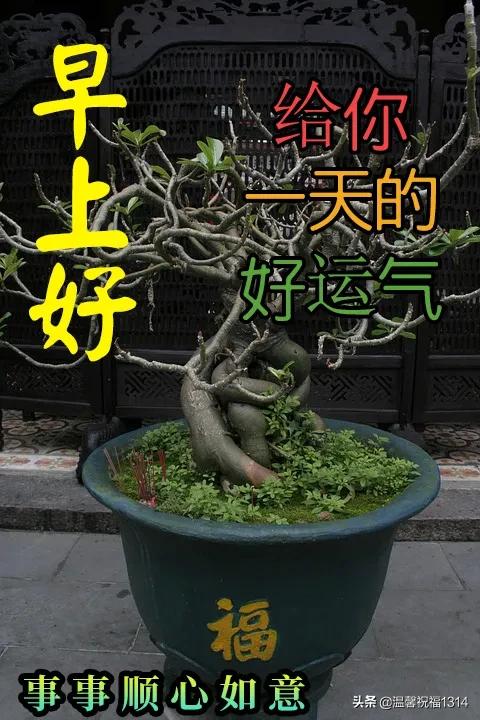 早上问好的温馨句子加图片 早上问好的温馨句子加图片