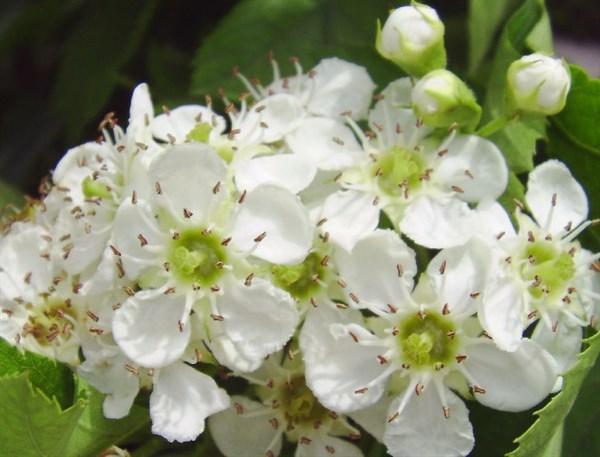 简短精辟最火的句子，经典入骨，穿透人心