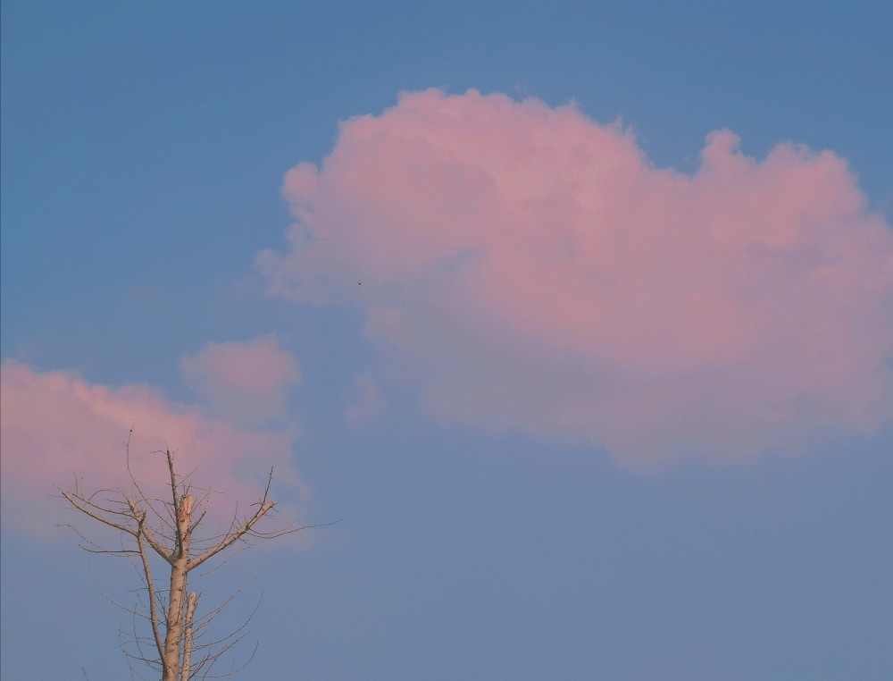 野性而又干净的句子凡是过往皆为序章 所有来日皆为崭新_(过往皆为序章的下一句)