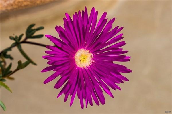 深入人心的人生句子，精致有个性，总有一句适合你