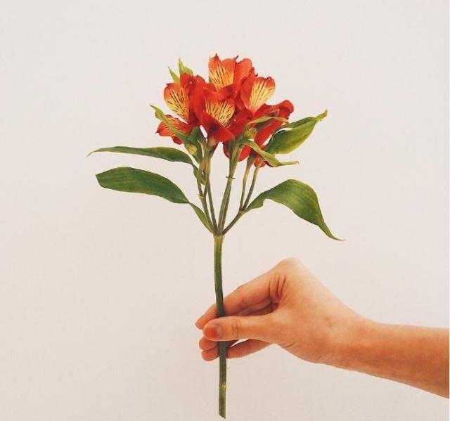 早安写给自己的优质说说，简单干净，直抵心灵