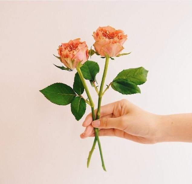 早安写给自己的优质说说，简单干净，直抵心灵