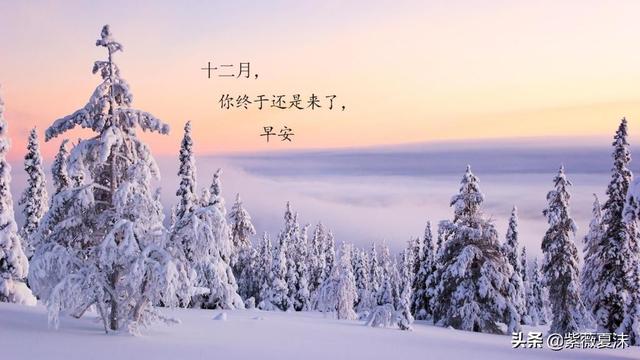 冬天里最吉祥的早安祝福语，用一个祝愿，温暖心田