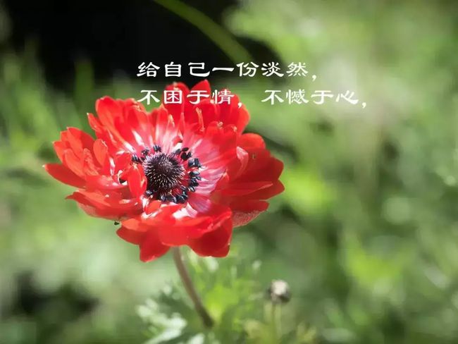 最精辟的人生感悟句子_(精辟语录)