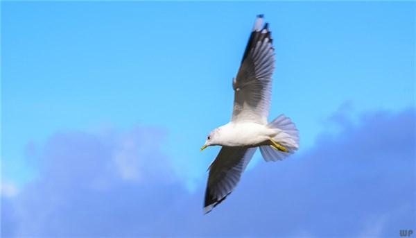深入人心的经典说说，句句说到心坎里上，让人过目不忘