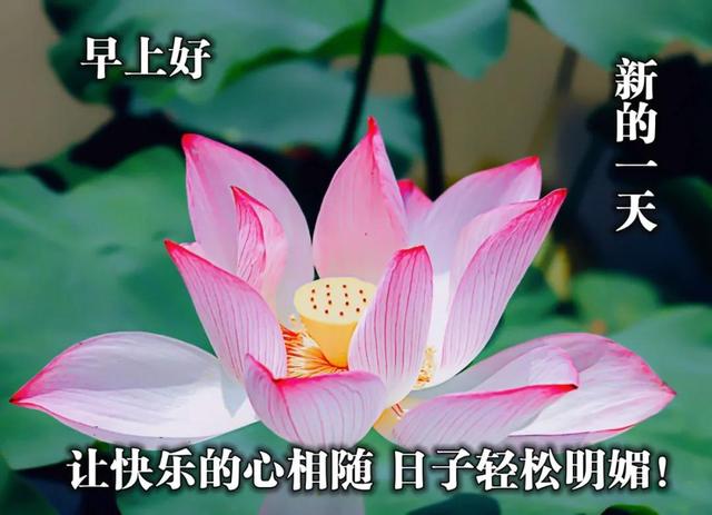 朋友之间温馨的问候句子 朋友之间温馨的问候句子