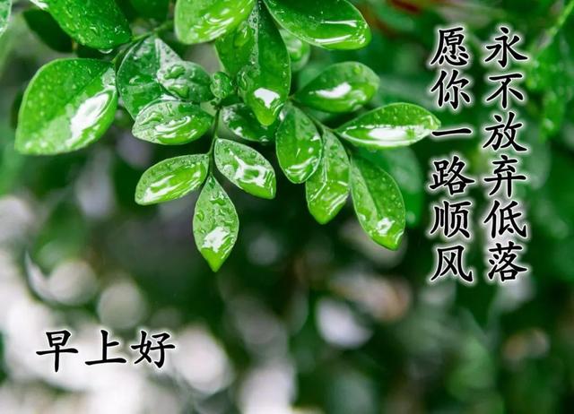 朋友之间温馨的问候句子 朋友之间温馨的问候句子