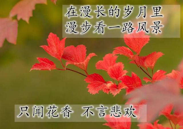 朋友之间温馨的问候句子 朋友之间温馨的问候句子