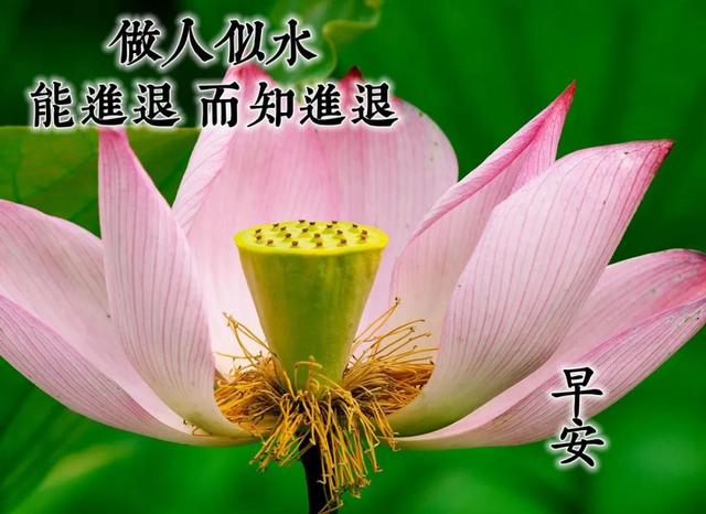 朋友之间温馨的问候句子 朋友之间温馨的问候句子