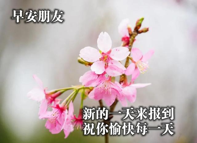 朋友之间温馨的问候句子 朋友之间温馨的问候句子