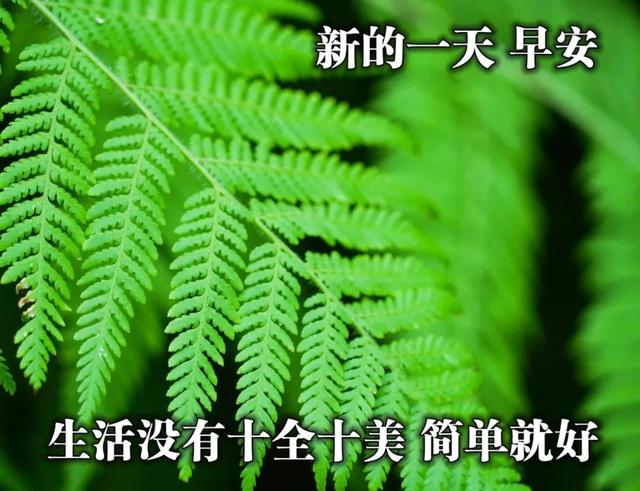朋友之间温馨的问候句子 朋友之间温馨的问候句子