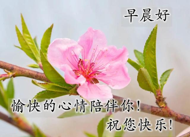 朋友之间温馨的问候句子 朋友之间温馨的问候句子