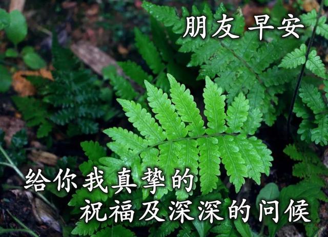 朋友之间温馨的问候句子 朋友之间温馨的问候句子