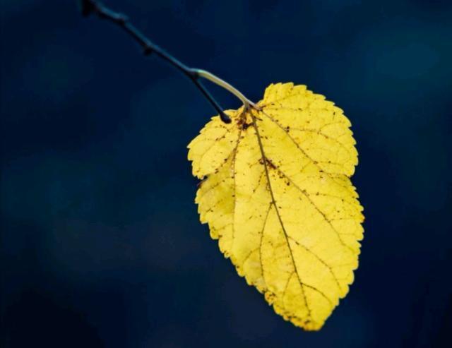 看透了人心冷暖的说说，精辟现实，句句穿心