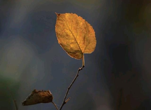 看透了人心冷暖的说说，精辟现实，句句穿心