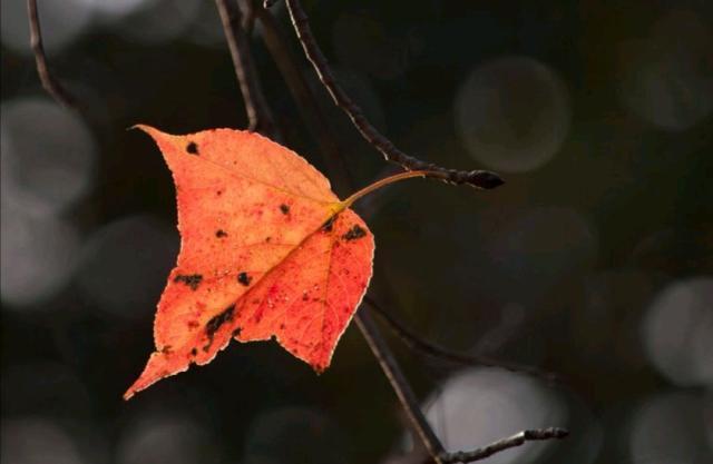 看透了人心冷暖的说说，精辟现实，句句穿心