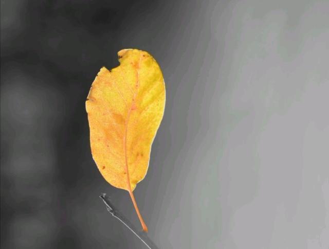 看透了人心冷暖的说说，精辟现实，句句穿心