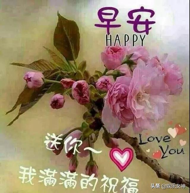 微信群温馨早上好的句子