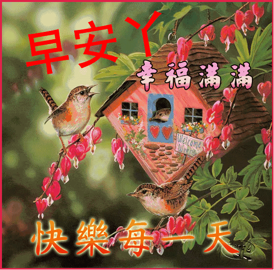 微信群温馨早上好的句子