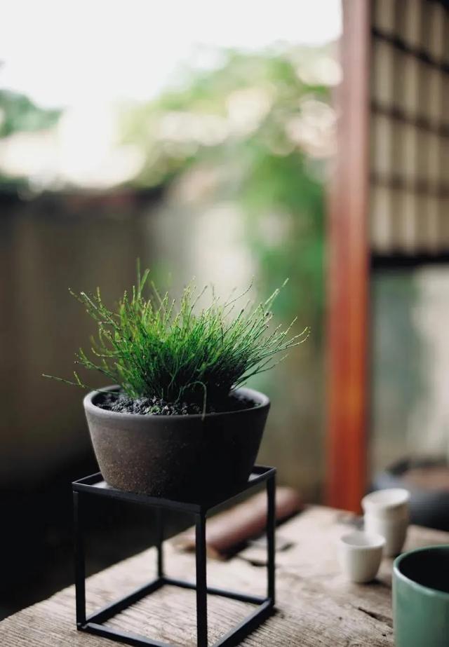 房子温馨的优美句子