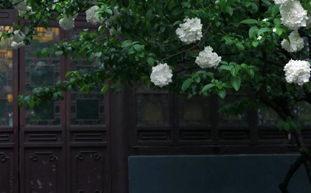 房子温馨的优美句子
