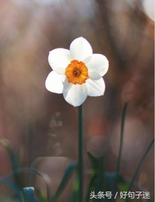 美到窒息的简短句子，气质满分，一眼惊艳！