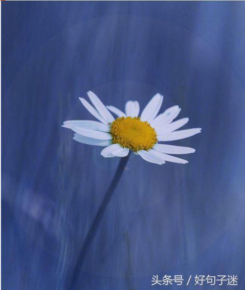 美到窒息的简短句子，气质满分，一眼惊艳！