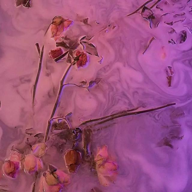 抖音点赞高的句子正能量温馨