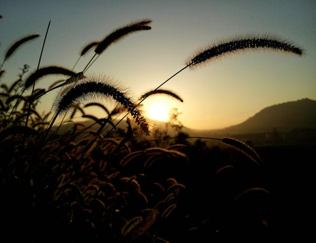 40句经典哲学语录，帮你参透人生，登上思想高峰