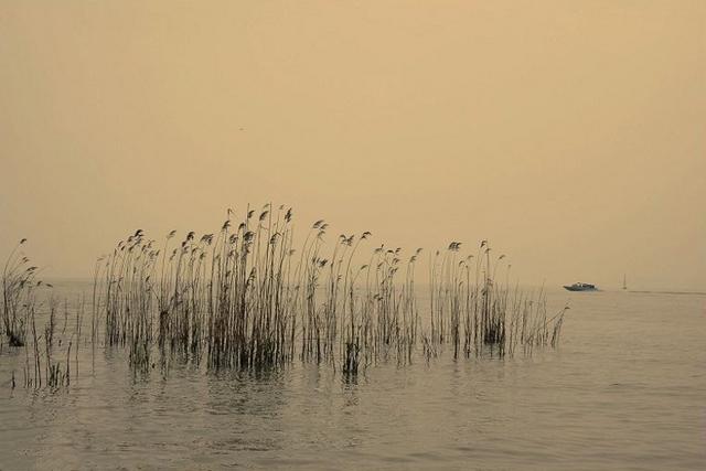 40句经典哲学语录，帮你参透人生，登上思想高峰