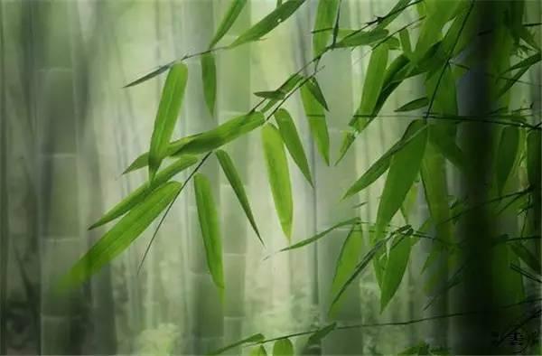 40句经典哲学语录，帮你参透人生，登上思想高峰