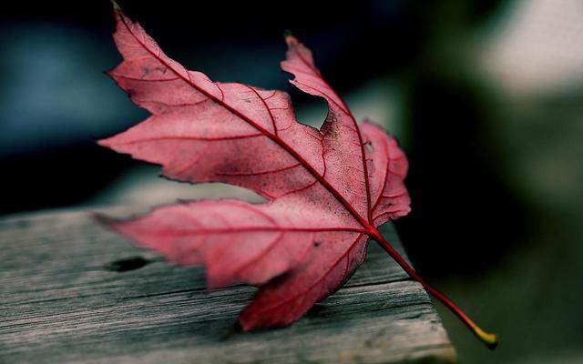 40句经典哲学语录，帮你参透人生，登上思想高峰