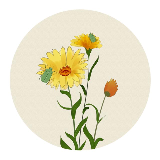 十句经典诗词，十种人生感悟，说尽人间悲欢离合