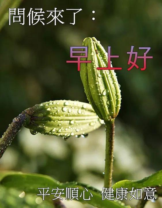 2021新年最红短句_(本命年的句子发朋友圈)