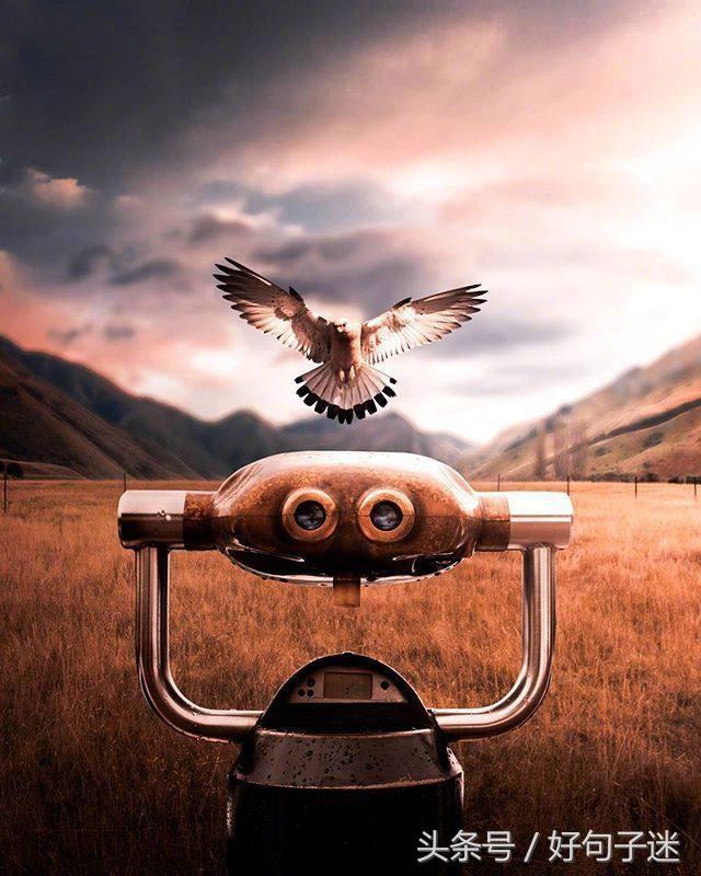 一段很长很暖心的情话，句句温暖感人！