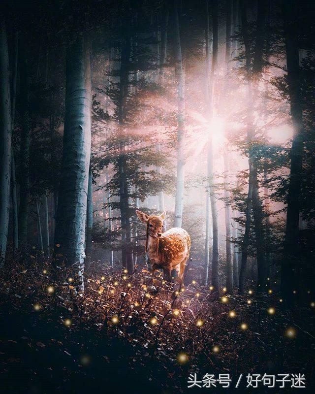 一段很长很暖心的情话，句句温暖感人！