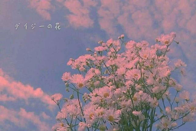 15句三观很正且温柔的文案，句句走心，惊艳到你的句子