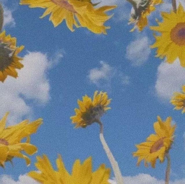 15句三观很正且温柔的文案，句句走心，惊艳到你的句子