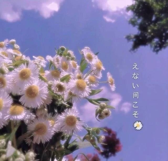 15句三观很正且温柔的文案，句句走心，惊艳到你的句子