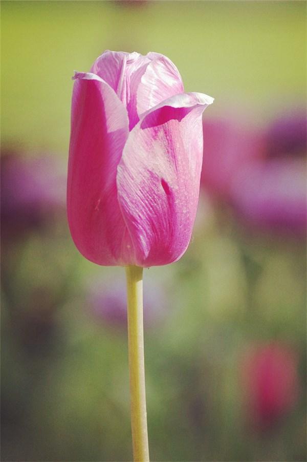 人生感悟的哲理短句，句句经典正能量