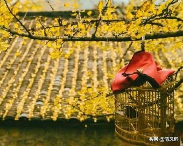 撩人、调皮的暖心说说句子