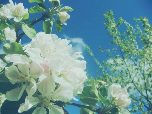 富有哲理的情感语录，精辟透彻，看了很多遍