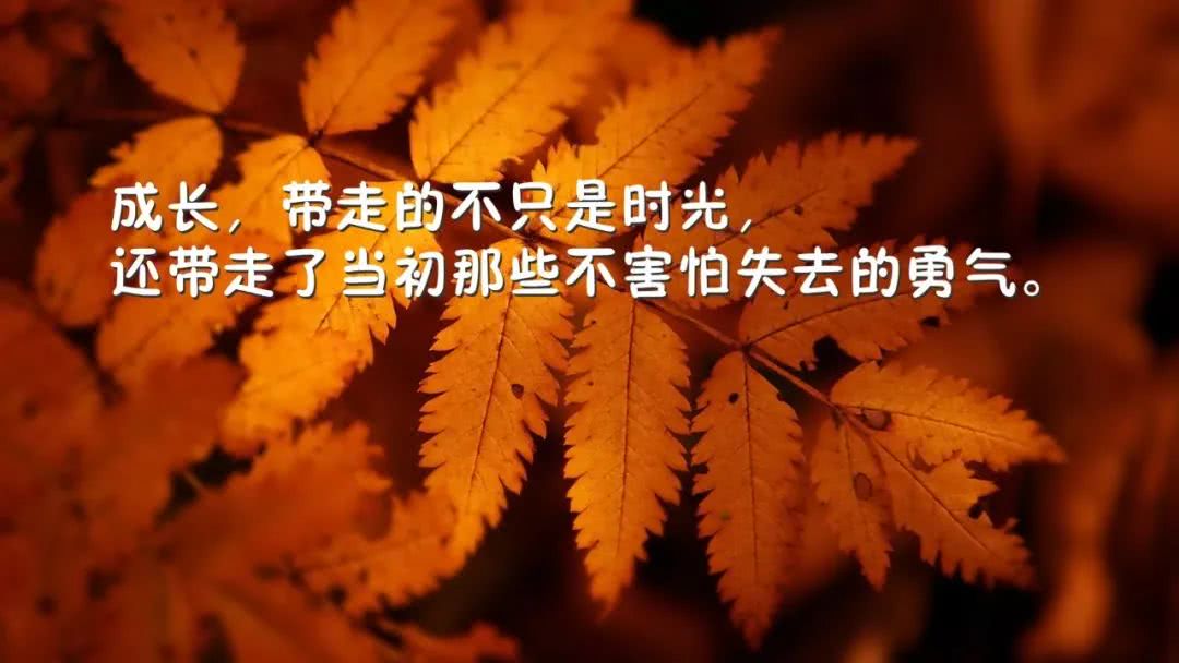 句子经典语录_(感悟人生的经典句子)